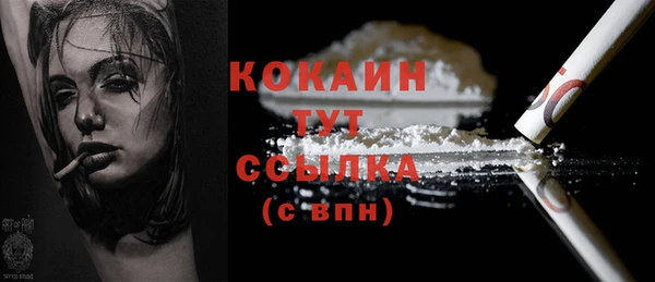 молекула духа Горнозаводск