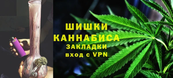 прущие грибы Гусь-Хрустальный