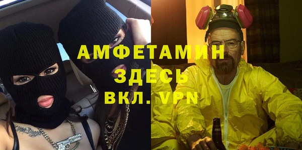 прущие грибы Гусь-Хрустальный