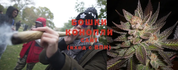 молекула духа Горнозаводск