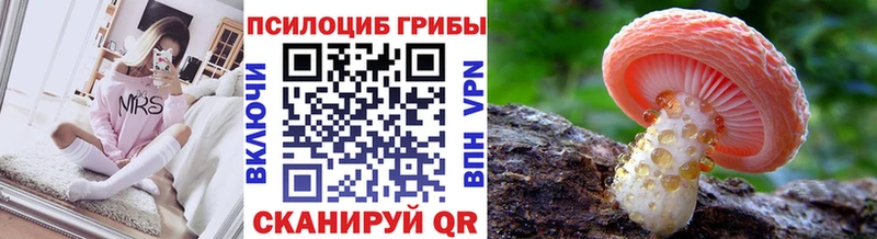 продажа наркотиков  Можга  Галлюциногенные грибы прущие грибы 