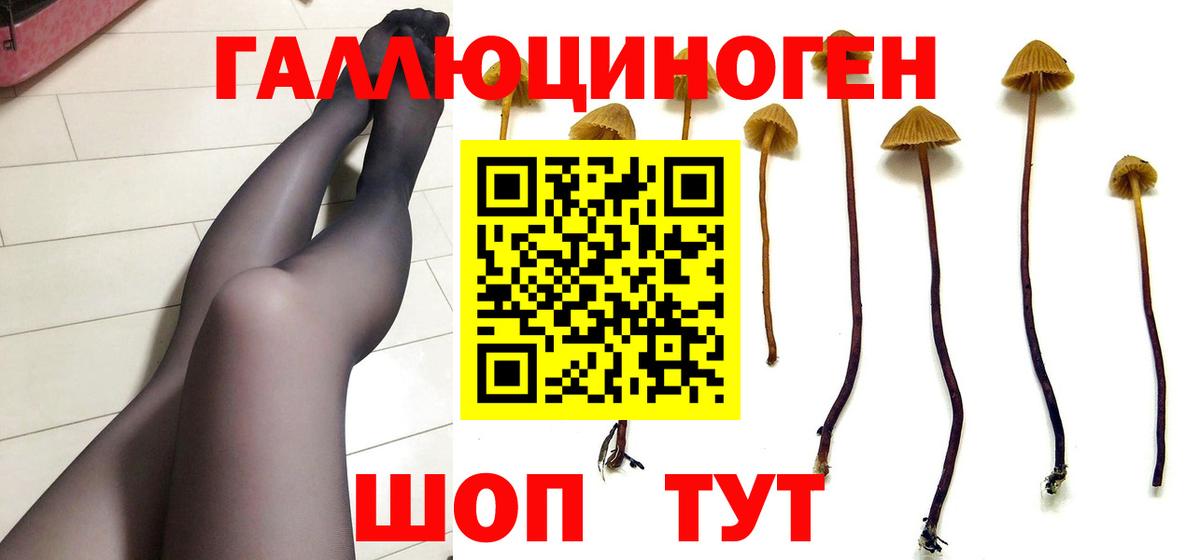 Галлюциногенные грибы мицелий  Псилоцибиновые грибы прущие грибы  Можга 