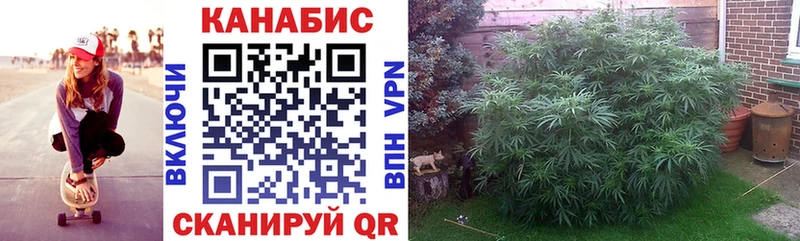 Конопля семена  ОМГ ОМГ как войти  Можга  цены  